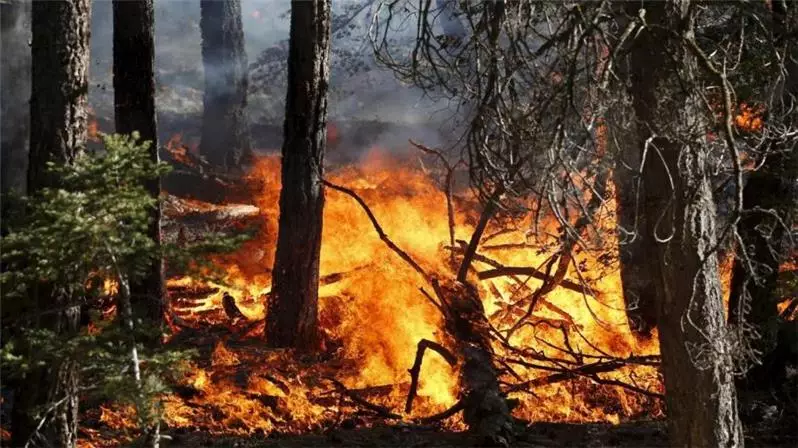Dichiarazione stato di massima pericolosità per gli incendi boschivi su tutto il territorio regionale del Piemonte a partire dal giorno 21 LUGLIO 2022